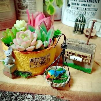 Photo by ちーさん