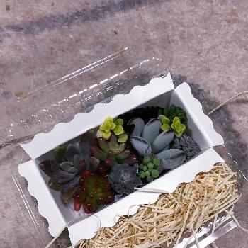 Photo by おくさん