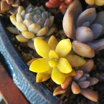 Photo by ...ayaka...さん