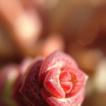 Photo by i-mutsumiさん