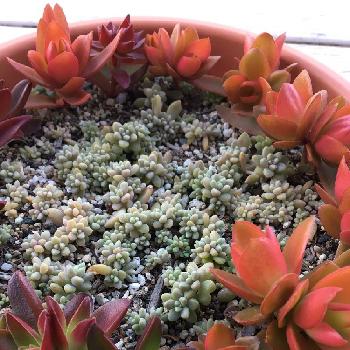 Photo by ノンさん