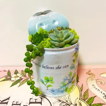 Photo by coppiさん