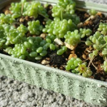 Photo by じゅんこさん