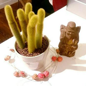 Photo by ebisu38さん