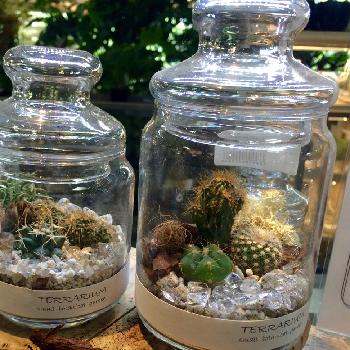 Photo by Kumanoteさん