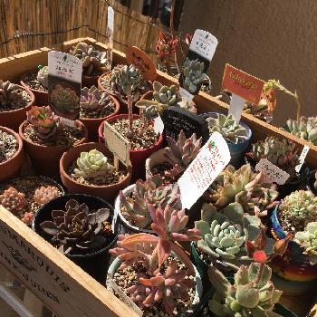 Photo by つぉさん