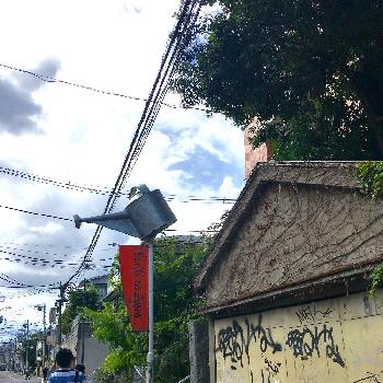 hoto by тамараさん