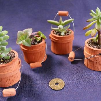 Photo by tsukiさん