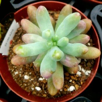 Photo by オガチャンさん