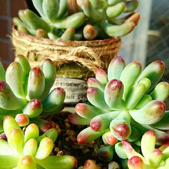 Photo by ヤマトさん