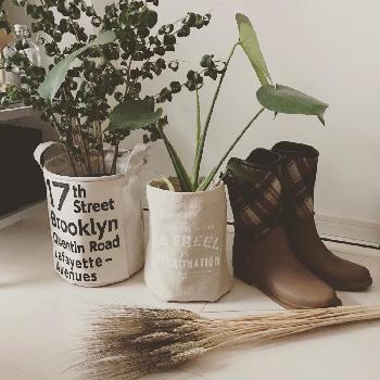 Photo by mini5597214さん