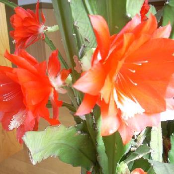 Photo by 篠木弘子さん