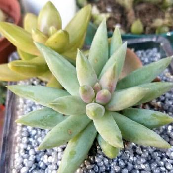 Photo by かもめさん