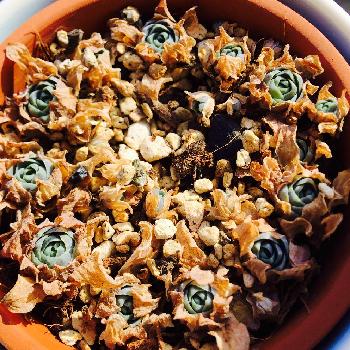 Photo by ベンきちくんさん