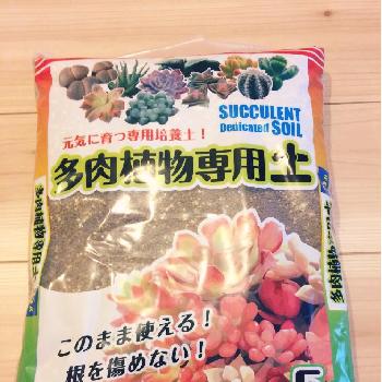 Photo by tacosaboさん