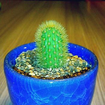 Photo by うにさん