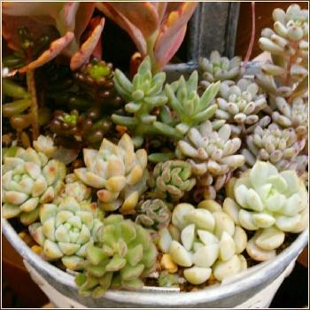 Photo by 杢-mokuさん