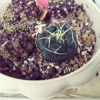 Photo by 豆田さん