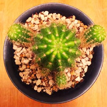 Photo by SMDACWYさん