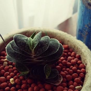 Photo by Sachiさん