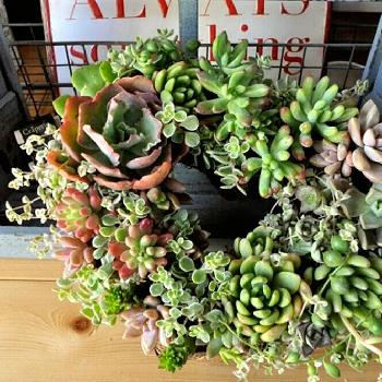 Photo by takako *さん