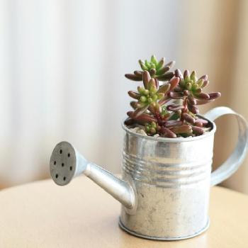 Photo by てん。さん