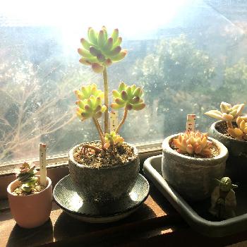 Photo by 中くらいさっこさん