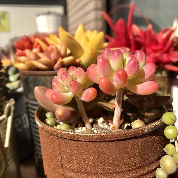 Photo by akubiさん