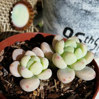 Photo by *akko* さん