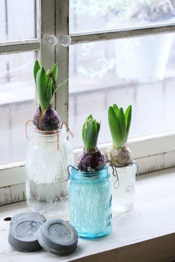 高価な花器がなくたって 身の回りのアイテムでステキに花を飾れます Greensnap グリーンスナップ