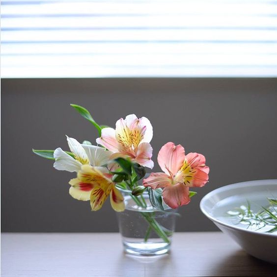 aba5fae5f5315e71633a577c73c72a6f