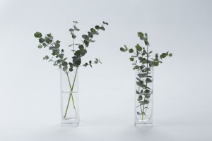 photo all：Toyuki Sasaki