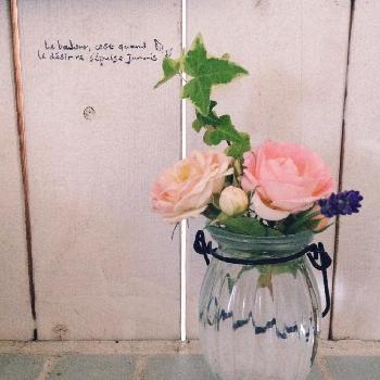 1458341385711_thum_1458341384629_thum_tmp