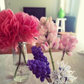 1458458426009_thum_1458458425242_thum_tmp