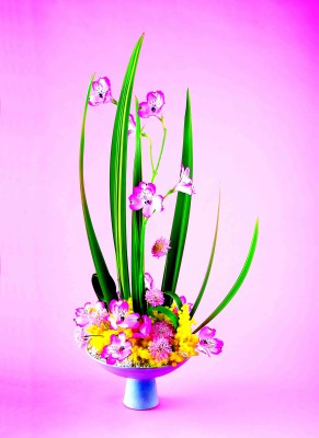 1(ニュウサイラン) 2