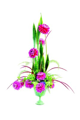 3(サンセベリア)