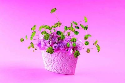 2(ブプレリウム)