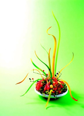 6(オクラレルカ枯れ)