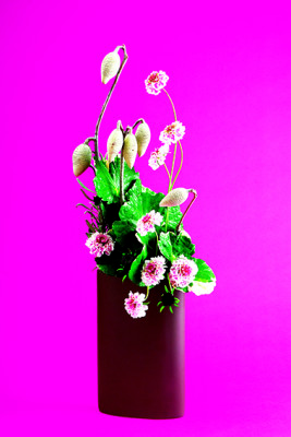 12(アラレアフクリン)