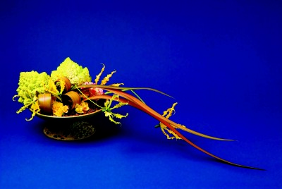 13(ニュウサイラン)