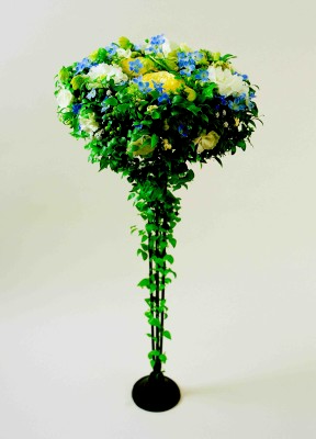 15(スマイラックス)