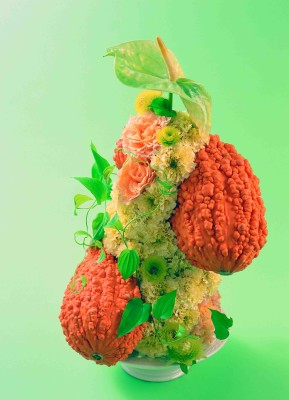 37(リキュウソウ)