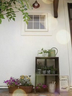 f3db950a8915c31885a64c9c5528af67