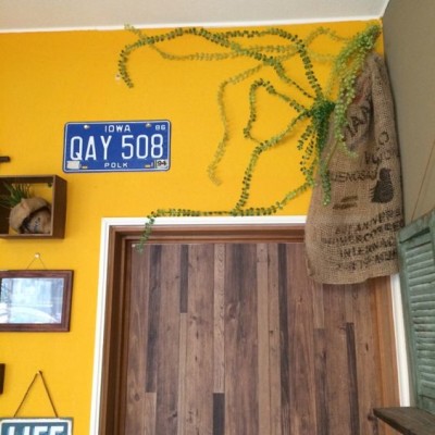 d582aac3b5923617fac431c8c2fbceb6