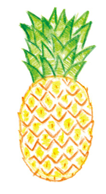 09パイナップル