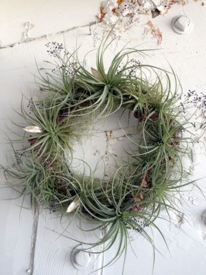 ガーリーにもシックにもできる。エアプランツリースで自分らしい