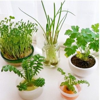 出典元：Pinteres