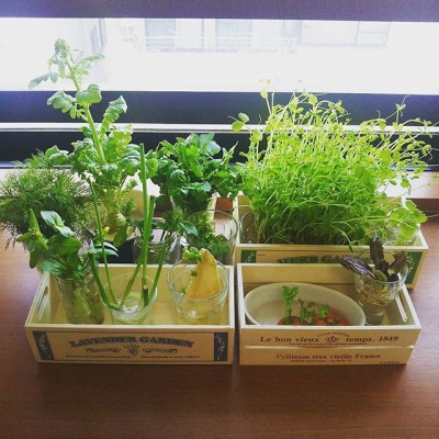 出典元：Pinterest