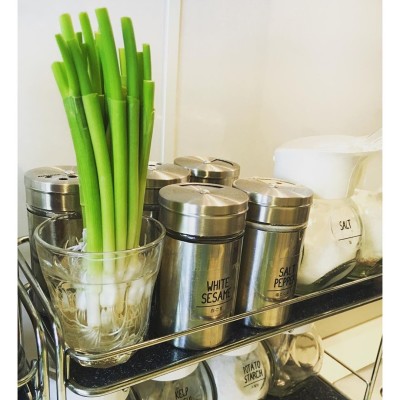 出典元：Instgram