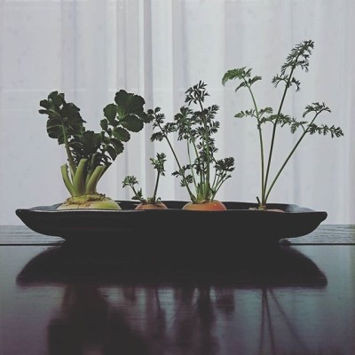 出典元：Instagram